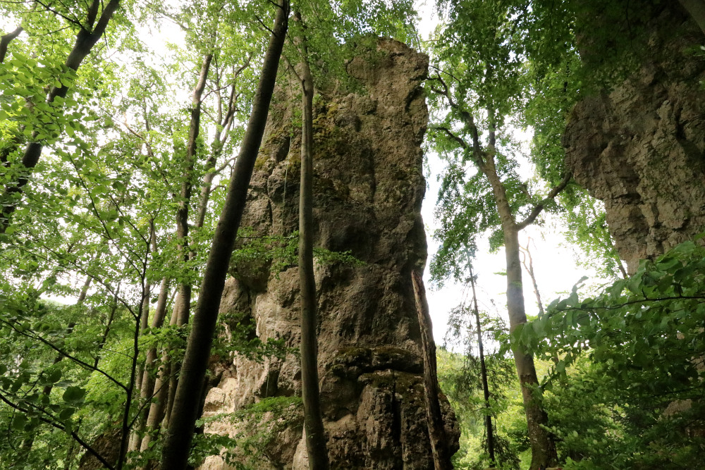 Die Bergseite des Schwalbensteins bei Gößweinstein