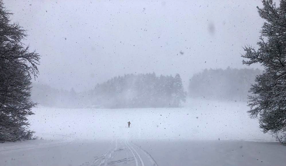 Ein Abenteuer im Winter: Langläufer auf der Großen Gräfenberger Loipe bei heftigen Schneefall und starkem Wind.