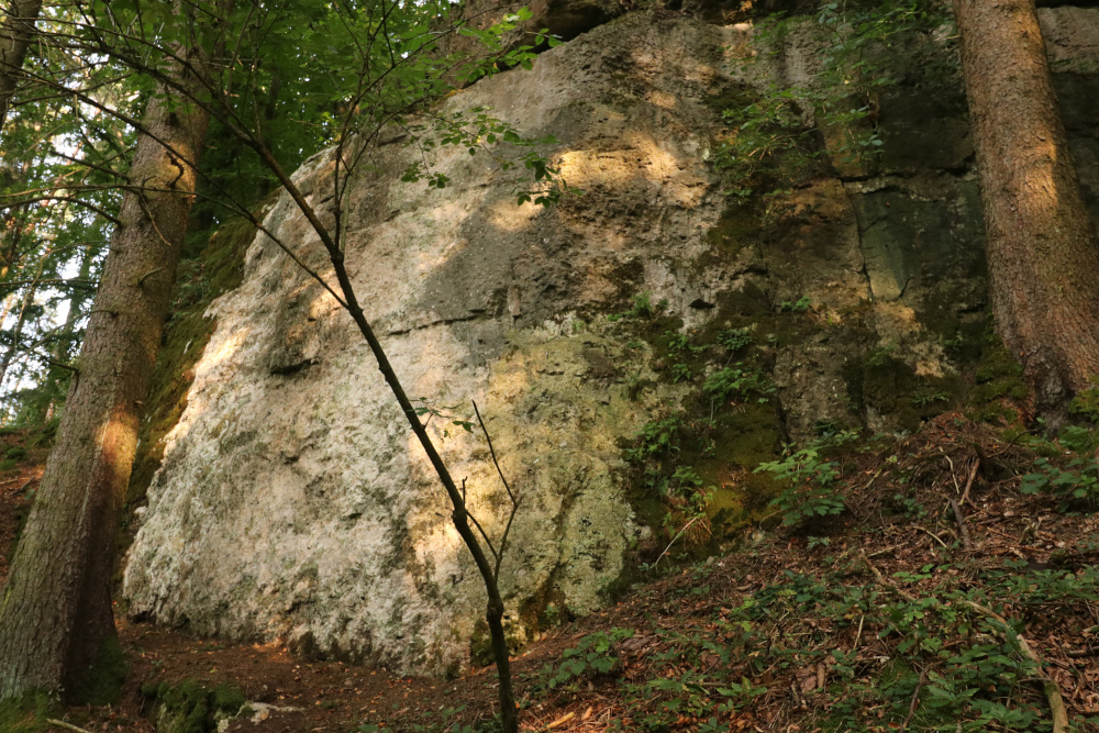 Das Nebenmassiv am Pfeilstein, an dem die Vegetation entfernt wurde