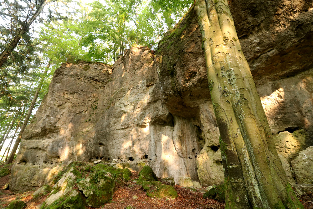 Der Pfeilstein bei Neukirchen