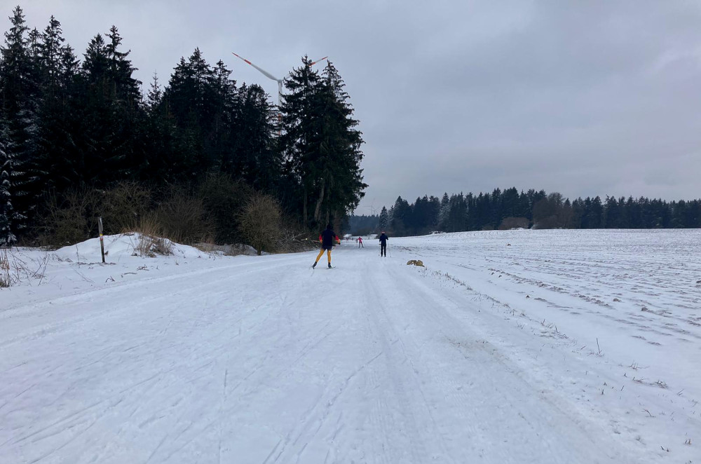 Ein aktuelles Bild aus Waller, die Bedingungen auf den gespurten Strecken sind gut. (Bild: Heiner Stocker)