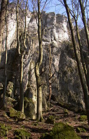 Der Mittelteil der Stierberger Gemsenwand (Bild: Axel Schweickhardt)