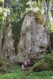 Das Zonierungteam am Pfarrwaldfels