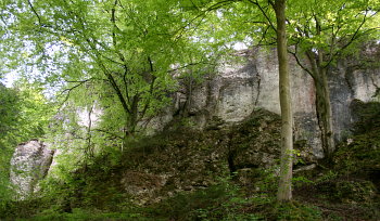 Der Sulzfels unmittelbar links des Stefansturms 