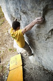 Sebastian Sebald in Airbus (alle Bilder: Marcus Bauer)