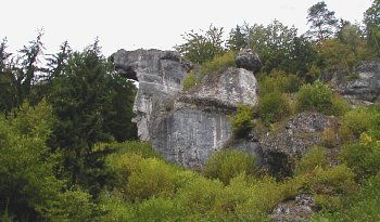 Das Dromedar im Weihersbachtal