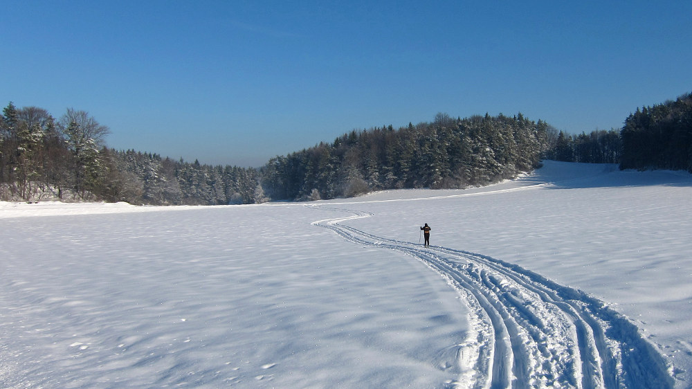 Die Wintermärchen-Zauberwald-Loipe bei Lichtenegg (Archivbild)